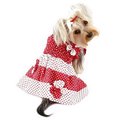Klippo Pet KlippoPet KDR057XS Polka Dots Sun Dress With Contrasting Flowers - Red & White; Extra Small KDR057XS